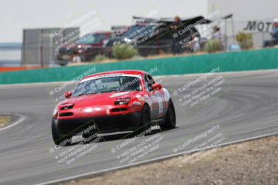 media/May-03-2025-Lucky Dog Racing (Sat) [[206de64b9d]]/Turn 4 B (1150am-130pm)/